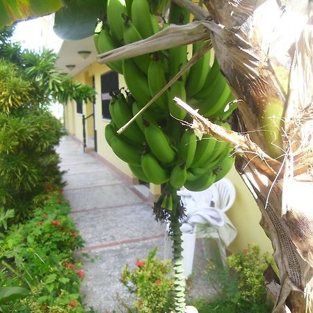 Residencial El Mirador Aparthotel Boca Chica Exterior photo